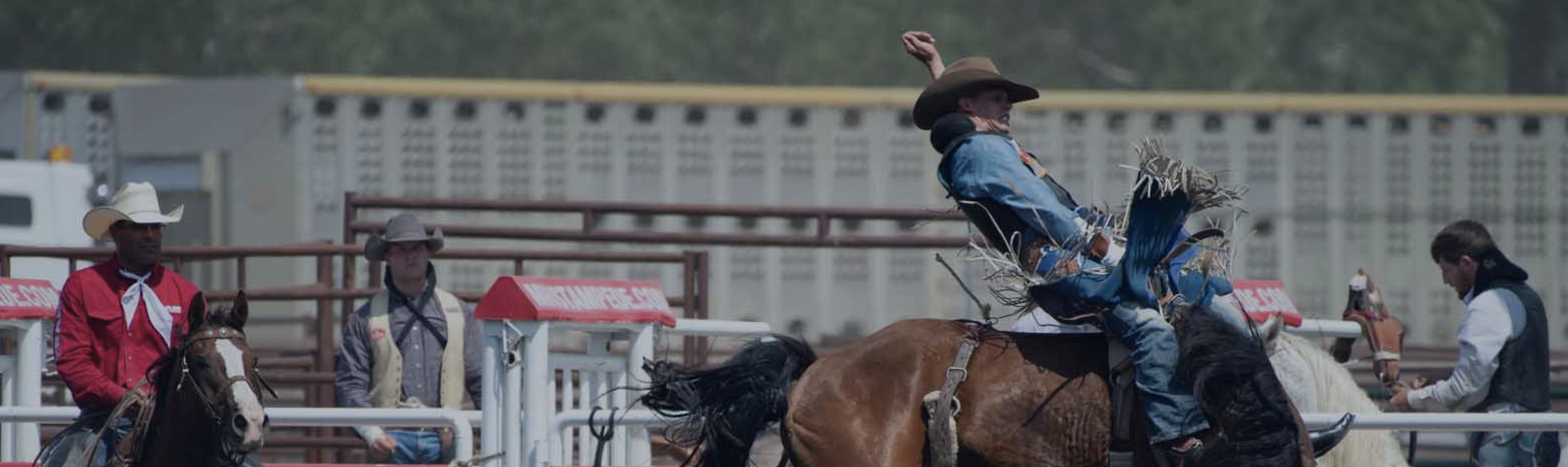 Medicine Hat Stampede